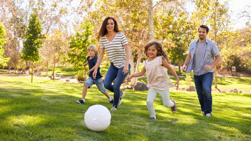 Política e Bem-Estar: Estudo Propõe Jardins Sensoriais nos Parques de Criciúma