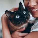 O Impacto do Bem-Estar Animal no Desenvolvimento Social e na Gestão Urbana