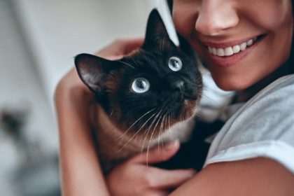 O Impacto do Bem-Estar Animal no Desenvolvimento Social e na Gestão Urbana