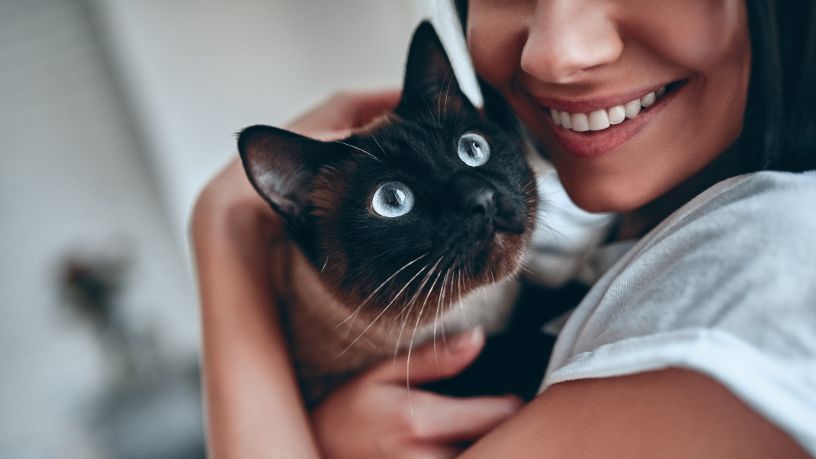 O Impacto do Bem-Estar Animal no Desenvolvimento Social e na Gestão Urbana